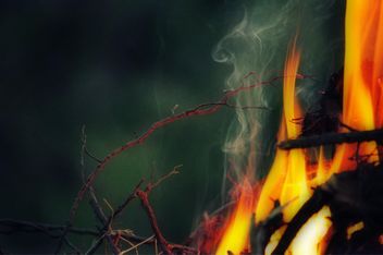 the bright flames - Free image #304737